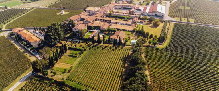 Freccianera Fratelli Berlucchi: radici, terroir e innovazione digitale – storia, arte e radici in Franciacorta
