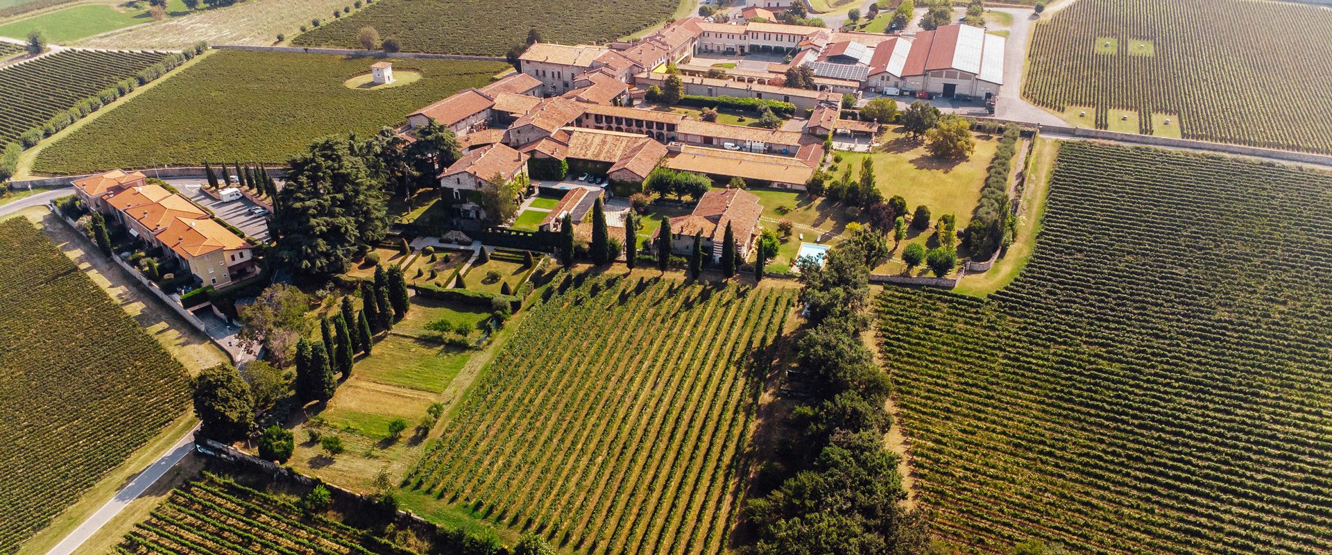 Freccianera Fratelli Berlucchi: radici, terroir e innovazione digitale – storia, arte e radici in Franciacorta